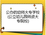 公办的幼师大专学校(公立幼儿园师资大专院校)