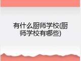 有什么厨师学校(厨师学校有哪些)