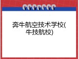 奔牛航空技术学校(牛技航校)