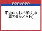职业中专技术学校(中等职业技术学校)
