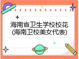 海南省卫生学校校花(海南卫校美女代表)