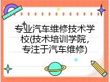专业汽车维修技术学校(技术培训学院，专注于汽车维修)