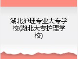 湖北护理专业大专学校(湖北大专护理学校)