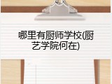哪里有厨师学校(厨艺学院何在)