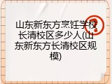 山东新东方烹饪学校长清校区多少人(山东新东方长清校区规模)