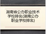 湖南省公办职业技术学校排名(湖南公办职业学校排名)
