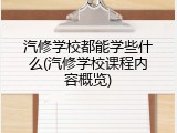 汽修学校都能学些什么(汽修学校课程内容概览)