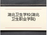 湖北卫生学校(湖北卫生职业学院)