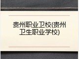 贵州职业卫校(贵州卫生职业学校)