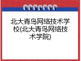 北大青鸟网络技术学校(北大青鸟网络技术学院)