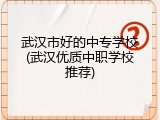 武汉市好的中专学校(武汉优质中职学校推荐)
