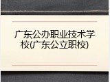 广东公办职业技术学校(广东公立职校)