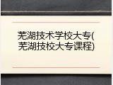 芜湖技术学校大专(芜湖技校大专课程)