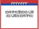 幼师学校里的幼儿园(幼儿园在幼师学校)