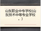 山东职业中专学校(山东技术中等专业学校。)