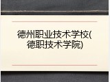 德州职业技术学校(德职技术学院)