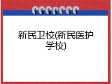 新民卫校(新民医护学校)