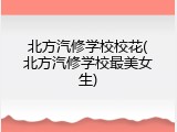 北方汽修学校校花(北方汽修学校最美女生)