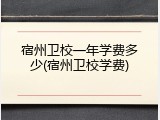 宿州卫校一年学费多少(宿州卫校学费)