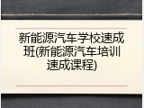 新能源汽车学校速成班(新能源汽车培训速成课程)