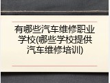 有哪些汽车维修职业学校(哪些学校提供汽车维修培训)