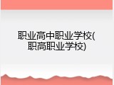 职业高中职业学校(职高职业学校)