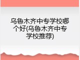 乌鲁木齐中专学校哪个好(乌鲁木齐中专学校推荐)