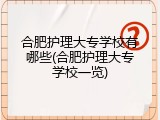 合肥护理大专学校有哪些(合肥护理大专学校一览)
