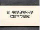 省卫校护理专业(护理技术与服务)