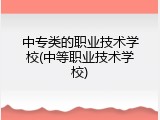中专类的职业技术学校(中等职业技术学校)