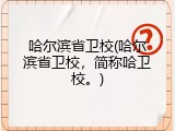 哈尔滨省卫校(哈尔滨省卫校，简称哈卫校。)