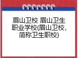 眉山卫校 眉山卫生职业学校(眉山卫校，简称卫生职校)
