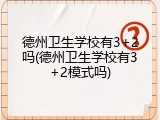 德州卫生学校有3+2吗(德州卫生学校有3+2模式吗)