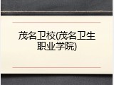 茂名卫校(茂名卫生职业学院)