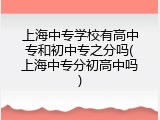 上海中专学校有高中专和初中专之分吗(上海中专分初高中吗)