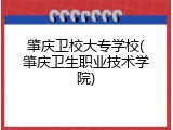 肇庆卫校大专学校(肇庆卫生职业技术学院)