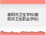 衡阳市卫生学校(衡阳市卫生职业学校)