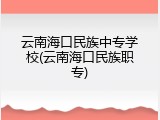 云南海口民族中专学校(云南海口民族职专)