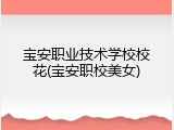 宝安职业技术学校校花(宝安职校美女)