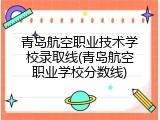 青岛航空职业技术学校录取线(青岛航空职业学校分数线)