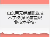 山东莱芜群星职业技术学校(莱芜群星职业技术学校)