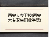 西安大专卫校(西安大专卫生职业学院)
