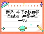 武汉市中职学校有哪些(武汉市中职学校一览)