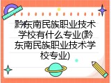 黔东南民族职业技术学校有什么专业(黔东南民族职业技术学校专业)