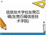 信息技术学校东莞石碣(东莞石碣信息技术学院)