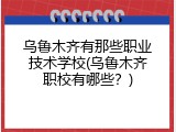 乌鲁木齐有那些职业技术学校(乌鲁木齐职校有哪些？)