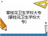 攀枝花卫生学校大专(攀枝花卫生学校大专)