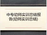 中专幼师实训总结报告(幼师实训总结)
