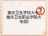 重庆卫生学校大专(重庆卫生职业学院大专部)
