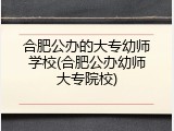 合肥公办的大专幼师学校(合肥公办幼师大专院校)